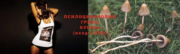 марки nbome Абдулино