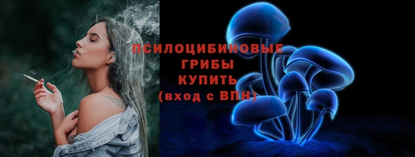 PSILOCYBIN Алексеевка